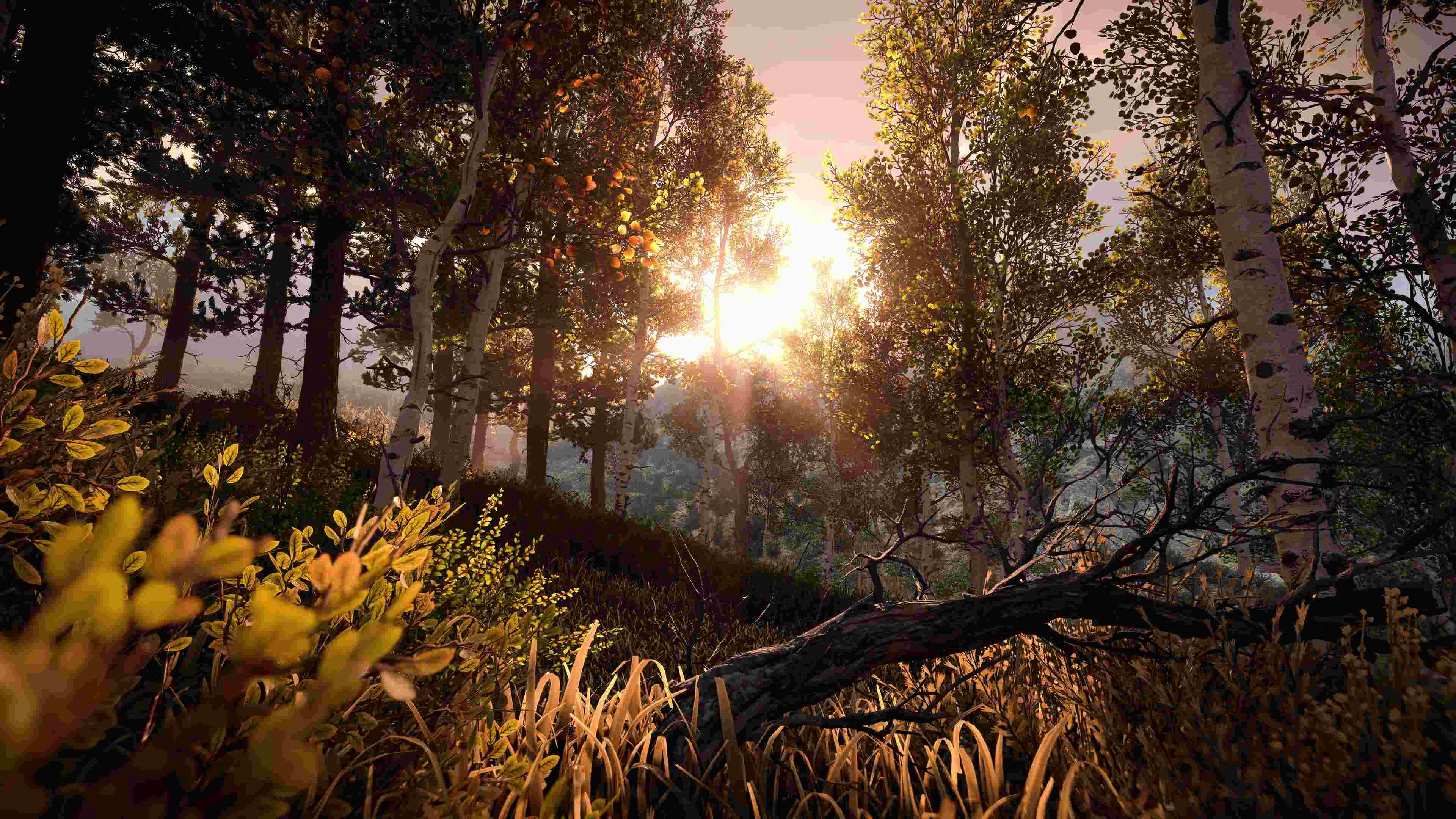 Horizon Forbidden West_20220303225223